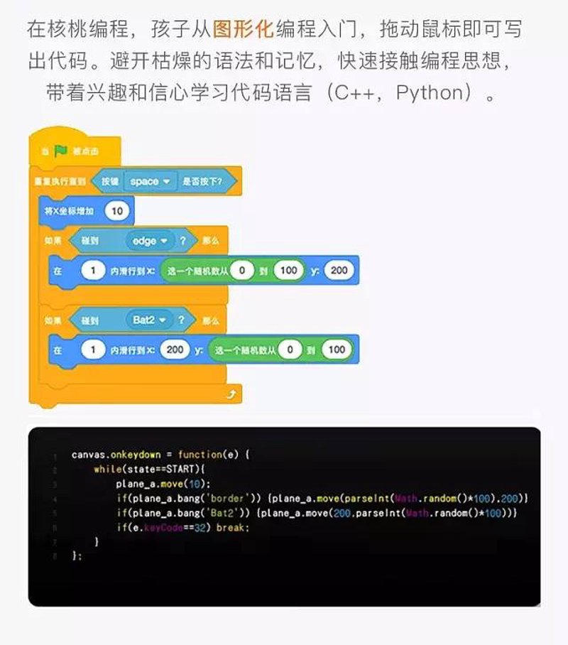 在线编程学习